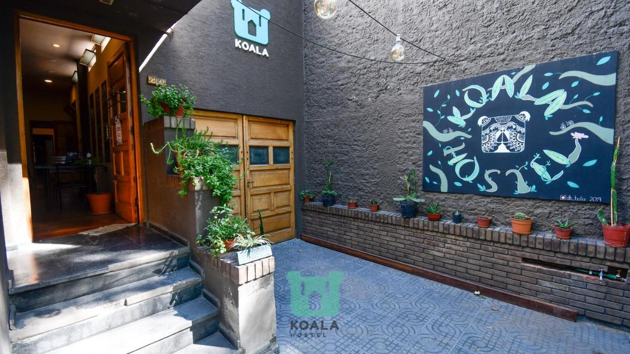 Koala Hostel Mendoza Eksteriør bilde