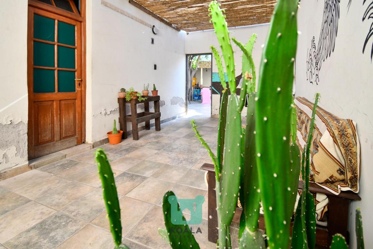 Koala Hostel Mendoza Eksteriør bilde