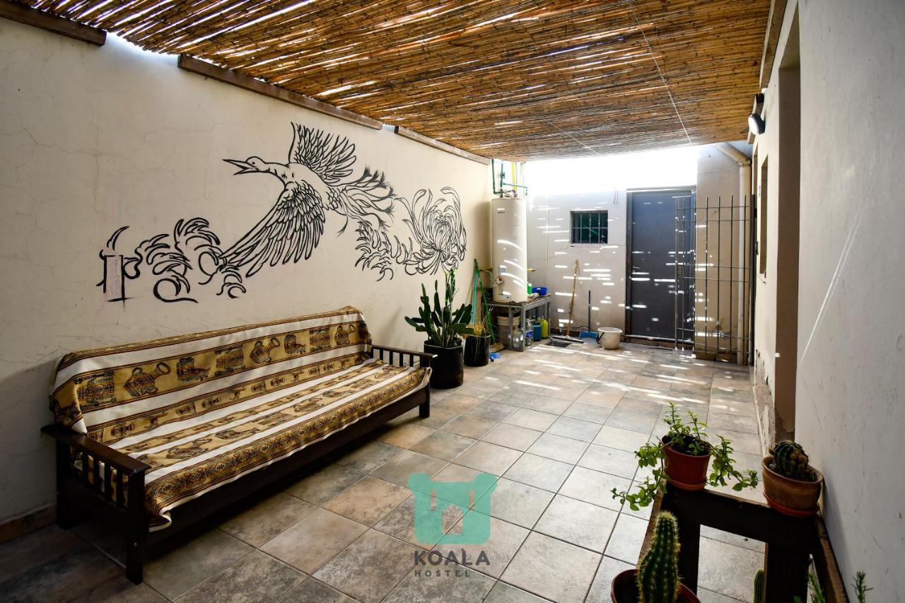 Koala Hostel Mendoza Eksteriør bilde